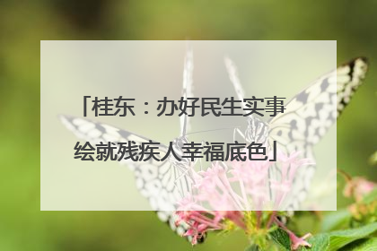 桂东：办好民生实事 绘就残疾人幸福底色