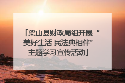 梁山县财政局组开展“美好生活 民法典相伴”主题学习宣传活动