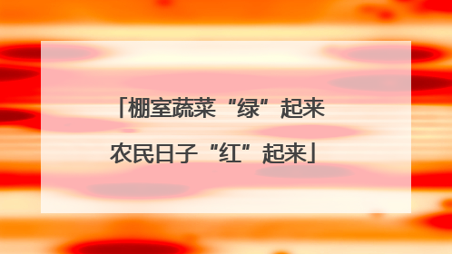 棚室蔬菜“绿”起来 农民日子“红”起来