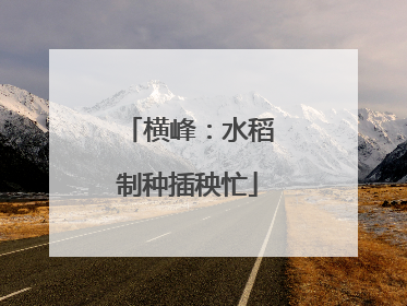 横峰：水稻制种插秧忙