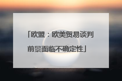 欧盟：欧美贸易谈判前景面临不确定性