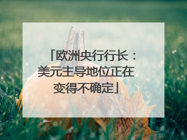 欧洲央行行长：美元主导地位正在变得不确定