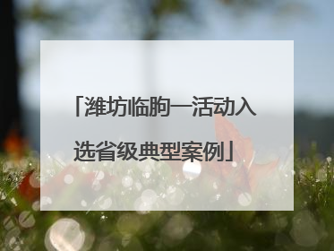 潍坊临朐一活动入选省级典型案例