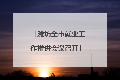 潍坊全市就业工作推进会议召开
