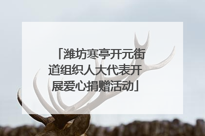 潍坊寒亭开元街道组织人大代表开展爱心捐赠活动