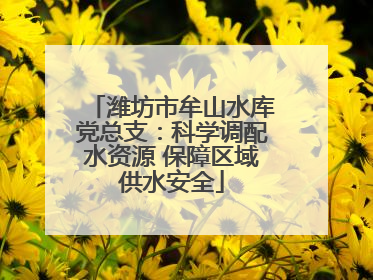 潍坊市牟山水库党总支：科学调配水资源 保障区域供水安全