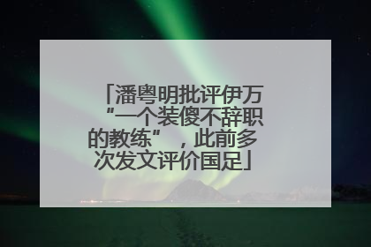 潘粤明批评伊万“一个装傻不辞职的教练”，此前多次发文评价国足