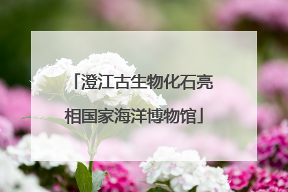 澄江古生物化石亮相国家海洋博物馆