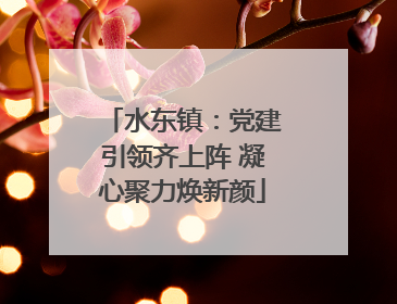 水东镇：党建引领齐上阵 凝心聚力焕新颜