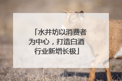 水井坊以消费者为中心，打造白酒行业新增长极