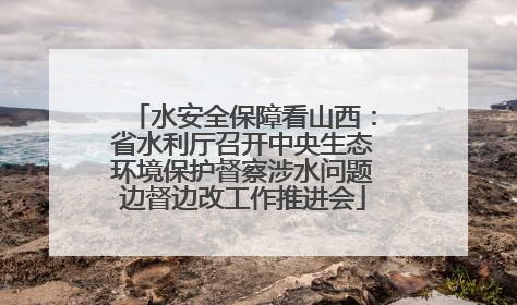 水安全保障看山西：省水利厅召开中央生态环境保护督察涉水问题边督边改工作推进会