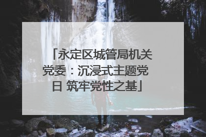 永定区城管局机关党委：沉浸式主题党日 筑牢党性之基