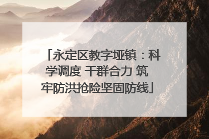 永定区教字垭镇：科学调度 干群合力 筑牢防洪抢险坚固防线