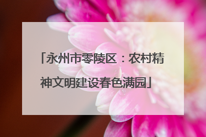 永州市零陵区：农村精神文明建设春色满园