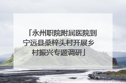 永州职院附属医院到宁远县桑梓头村开展乡村振兴专题调研