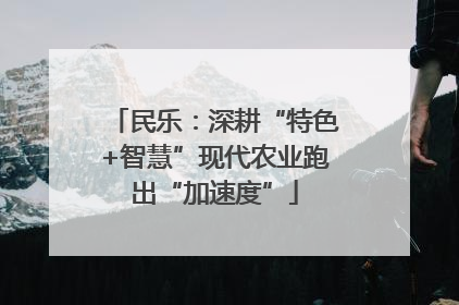民乐：深耕“特色+智慧”现代农业跑出“加速度”