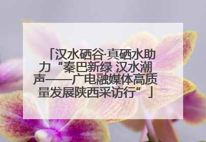 汉水硒谷·真硒水助力“秦巴新绿 汉水潮声——广电融媒体高质量发展陕西采访行”