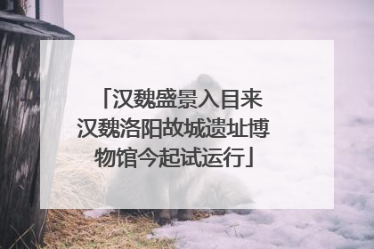 汉魏盛景入目来 汉魏洛阳故城遗址博物馆今起试运行