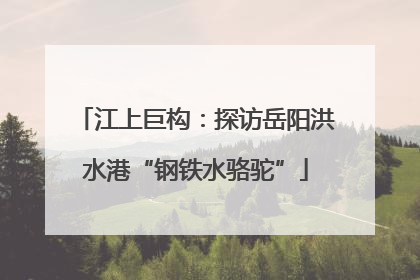江上巨构：探访岳阳洪水港“钢铁水骆驼”