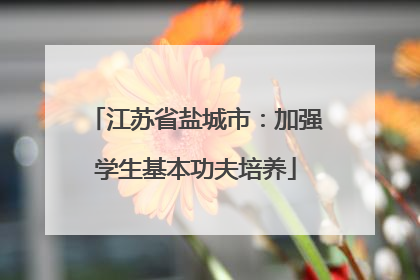 江苏省盐城市：加强学生基本功夫培养