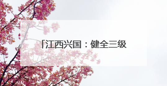 江西兴国：健全三级养老服务网络 全面提升养老服务质量