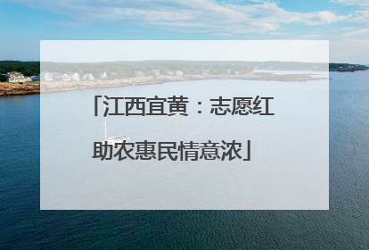 江西宜黄：志愿红助农惠民情意浓