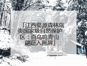 江西婺源森林鸟类国家级自然保护区：百鸟鸣青山 翩跹入画屏