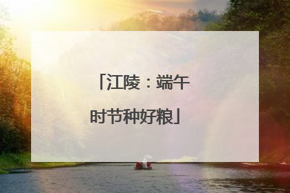 江陵：端午时节种好粮
