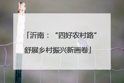 沂南：“四好农村路”舒展乡村振兴新画卷