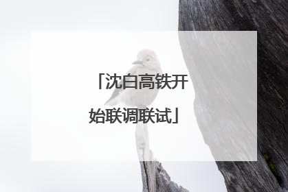 沈白高铁开始联调联试