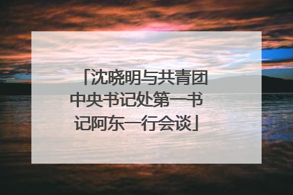 沈晓明与共青团中央书记处第一书记阿东一行会谈