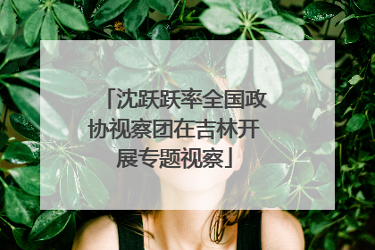 沈跃跃率全国政协视察团在吉林开展专题视察