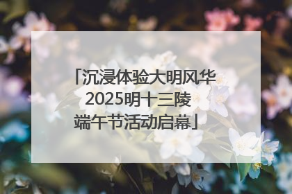 沉浸体验大明风华 2025明十三陵端午节活动启幕