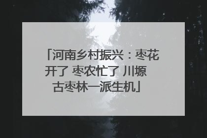 河南乡村振兴：枣花开了 枣农忙了 川塬古枣林一派生机