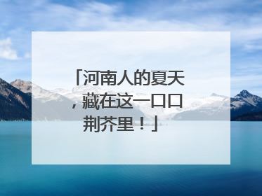 河南人的夏天，藏在这一口口荆芥里！