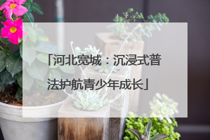 河北宽城：沉浸式普法护航青少年成长
