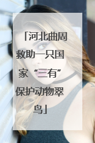 河北曲周救助一只国家“三有”保护动物翠鸟