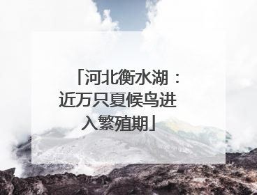 河北衡水湖：近万只夏候鸟进入繁殖期