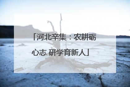 河北辛集：农耕砺心志 研学育新人