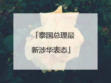 泰国总理最新涉华表态