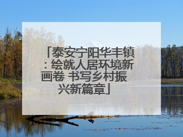 泰安宁阳华丰镇：绘就人居环境新画卷 书写乡村振兴新篇章