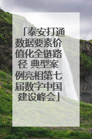 泰安打通数据要素价值化全链路径 典型案例亮相第七届数字中国建设峰会
