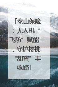 泰山保险：无人机“飞防”赋能，守护樱桃“甜蜜”丰收路