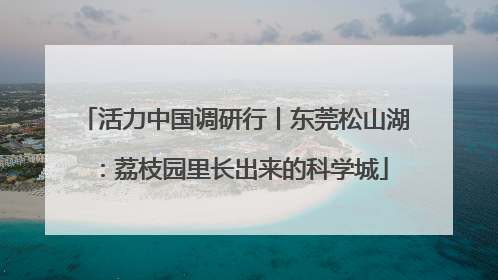 活力中国调研行丨东莞松山湖：荔枝园里长出来的科学城