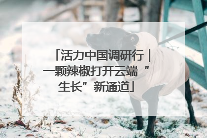 活力中国调研行｜一颗辣椒打开云端“生长”新通道
