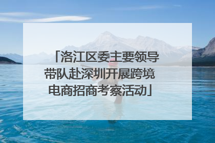 洛江区委主要领导带队赴深圳开展跨境电商招商考察活动