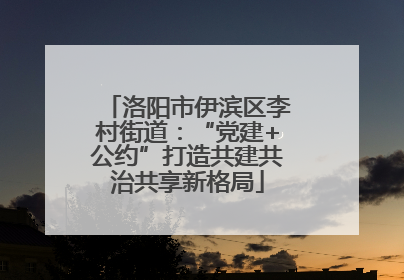 洛阳市伊滨区李村街道：“党建+公约”打造共建共治共享新格局