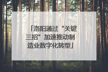 洛阳通过“关键三招”加速推动制造业数字化转型