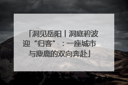 洞见岳阳丨洞庭碧波迎“归客”：一座城市与麋鹿的双向奔赴