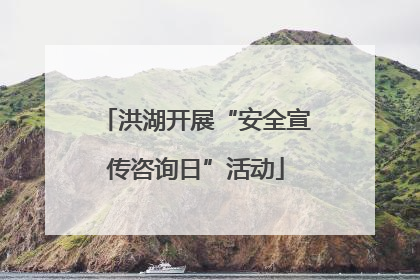洪湖开展“安全宣传咨询日”活动